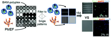 2021_SM_BiomatSci